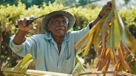 Watch The End of Blue Zones?. Episode 3 of Season 1.