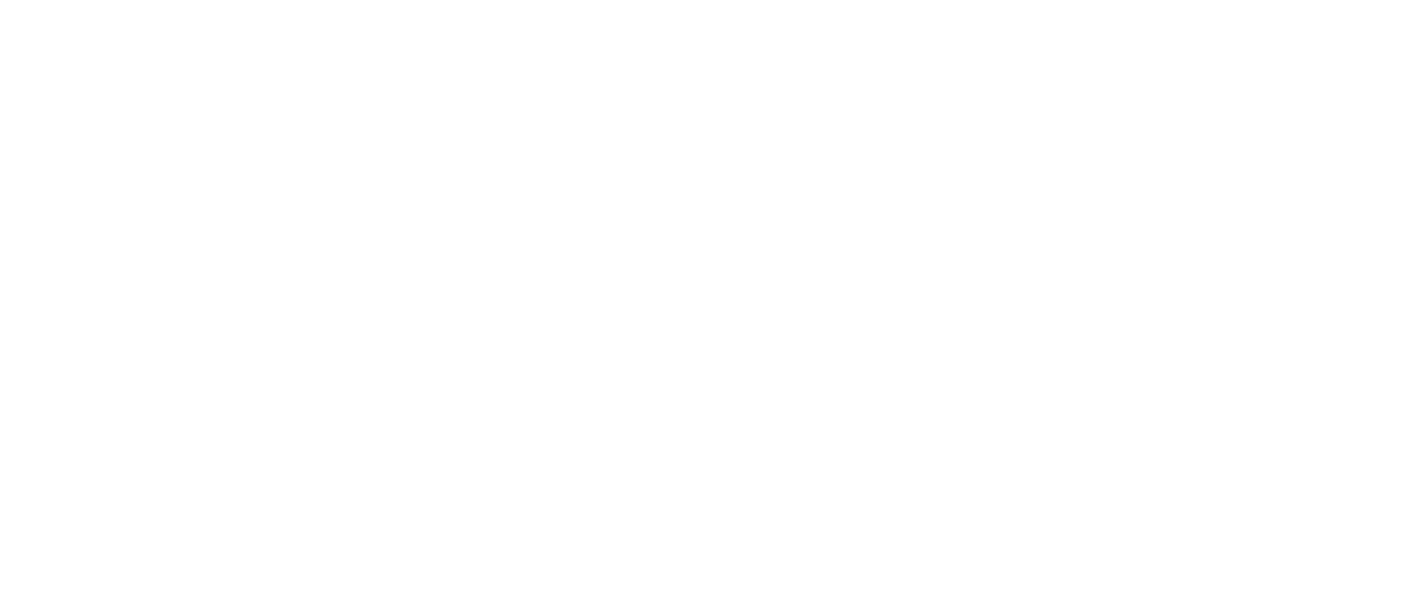 Mighty Raju