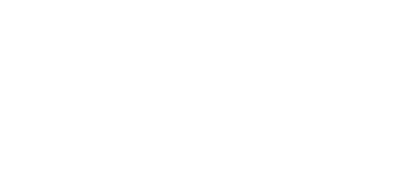 Fast & Feel Love