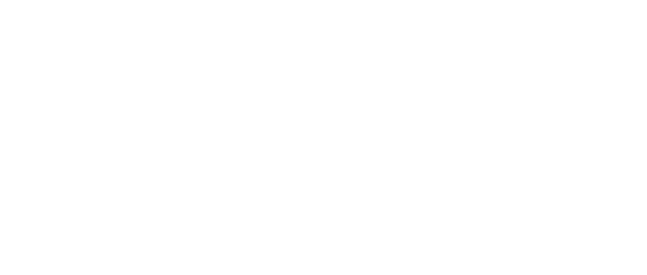 Deive Leonardo: The Answer