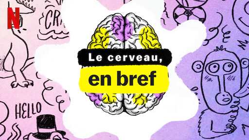 Le cerveau, en bref