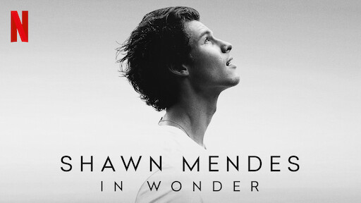 Shawn Mendes: In Wonder