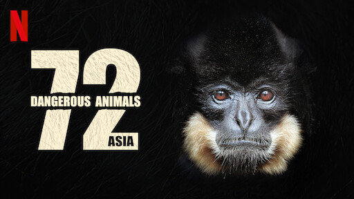 ‎72 Dangerous Animals: Asia