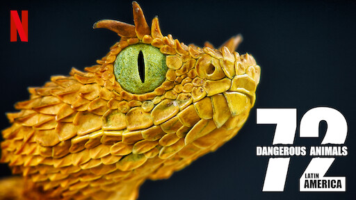 72 Dangerous Animals: Latin America