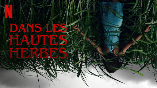 Dans les hautes herbes