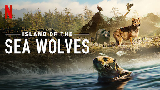 Island of the Sea Wolves