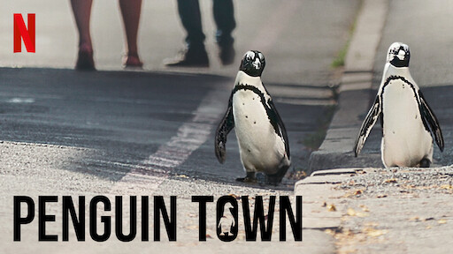 Penguin Town