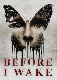 Before I Wake